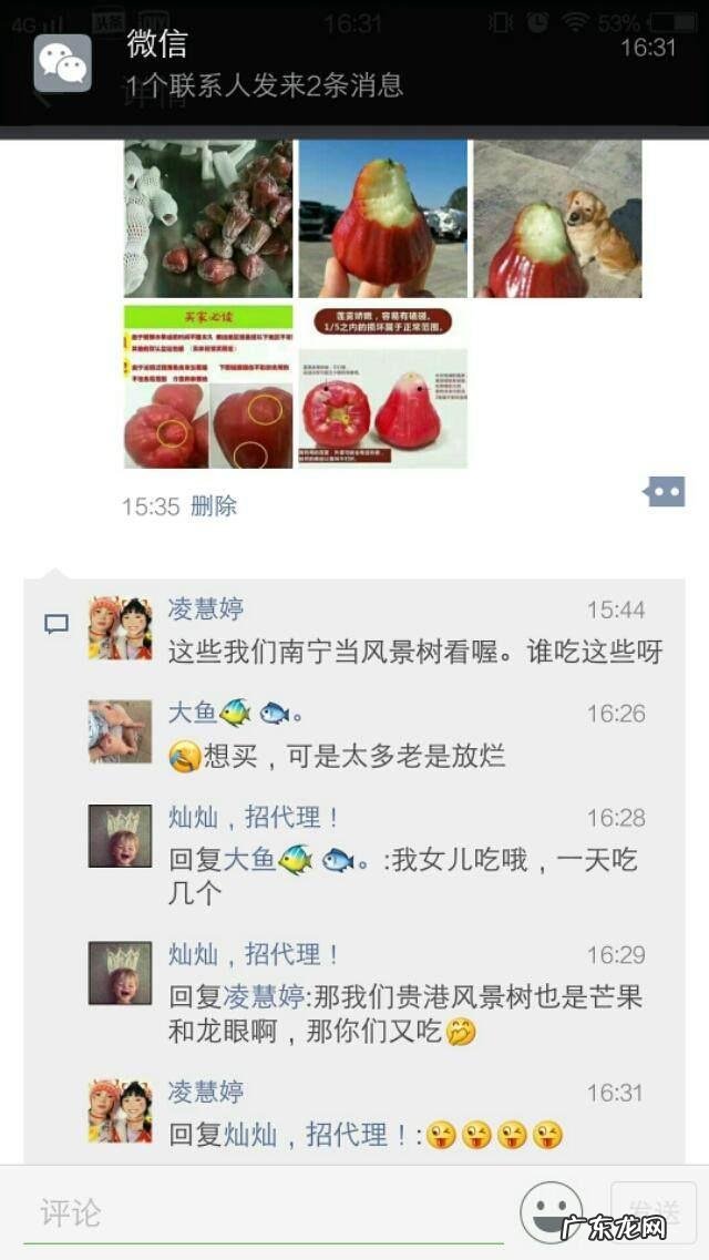 发了朋友圈最讨厌的评论 发朋友圈后,你最讨厌什么样的评论?