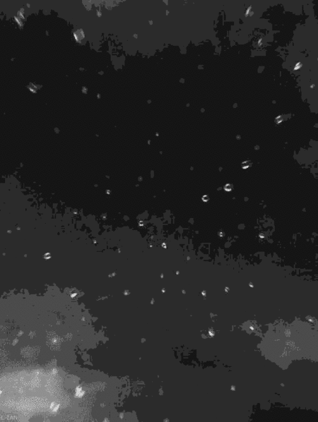 蚊子这么轻,为啥不会被雨砸死