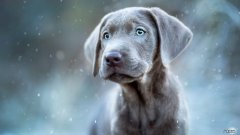 zhi疗儿童肥胖哪家医院好？