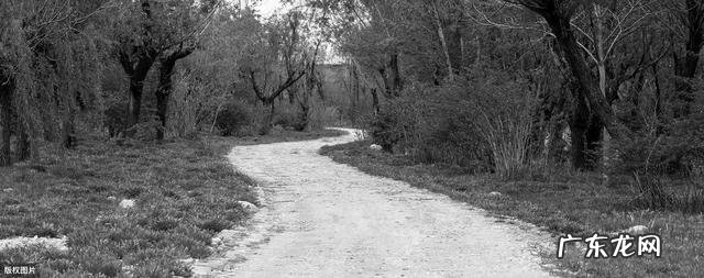 每一首歌都会勾起一段回忆,但有没有一种食物会勾起你的回忆