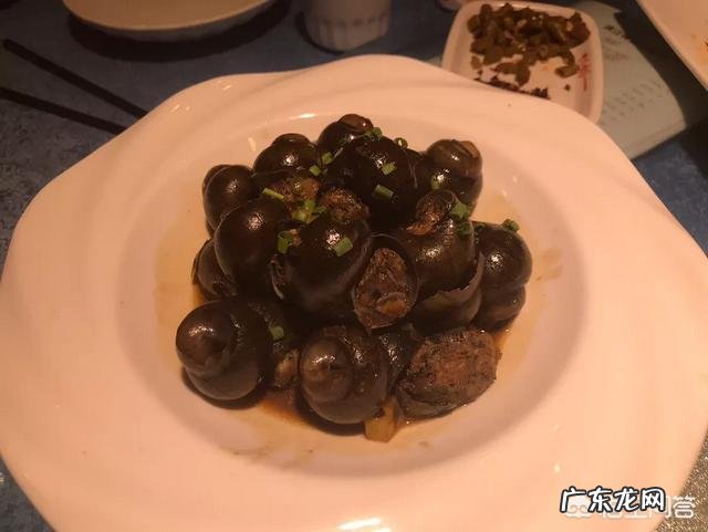 俄罗斯的女孩喜欢吃中国哪的美食？