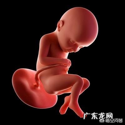 怀孕30周,胎动一分钟多少算比较正常?