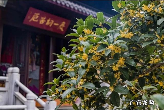 疫情结束，你外出的diyi顿想吃啥？