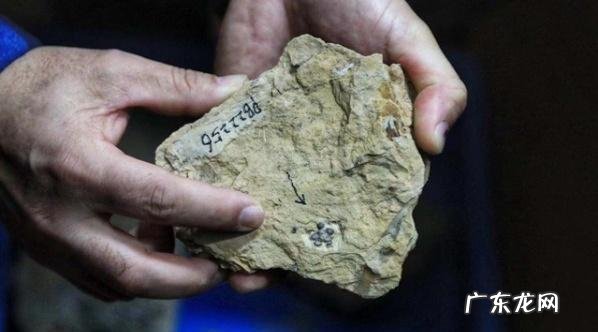 疫情结束，你外出的diyi顿想吃啥？