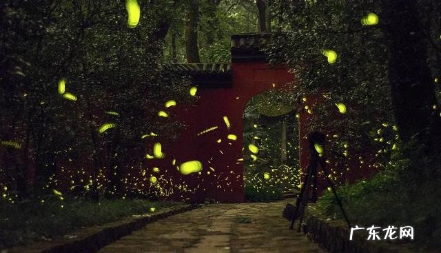 疫情结束,你外出的diyi顿想吃啥?