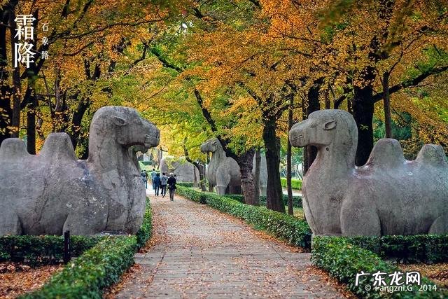 疫情结束，你外出的diyi顿想吃啥？