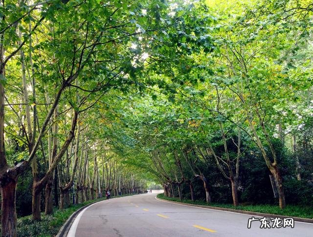 疫情结束，你外出的diyi顿想吃啥？