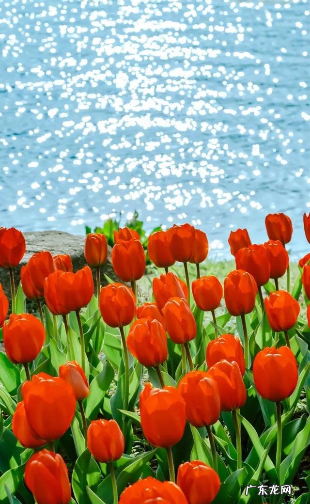 疫情结束，你外出的diyi顿想吃啥？