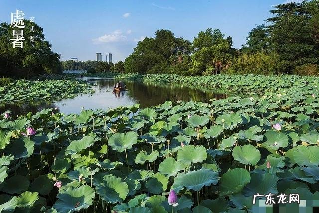 疫情结束，你外出的diyi顿想吃啥？