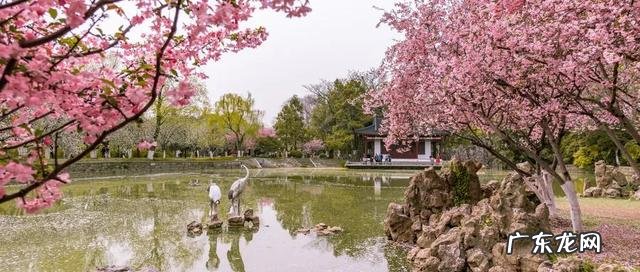 疫情结束，你外出的diyi顿想吃啥？