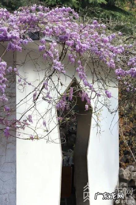 疫情结束，你外出的diyi顿想吃啥？