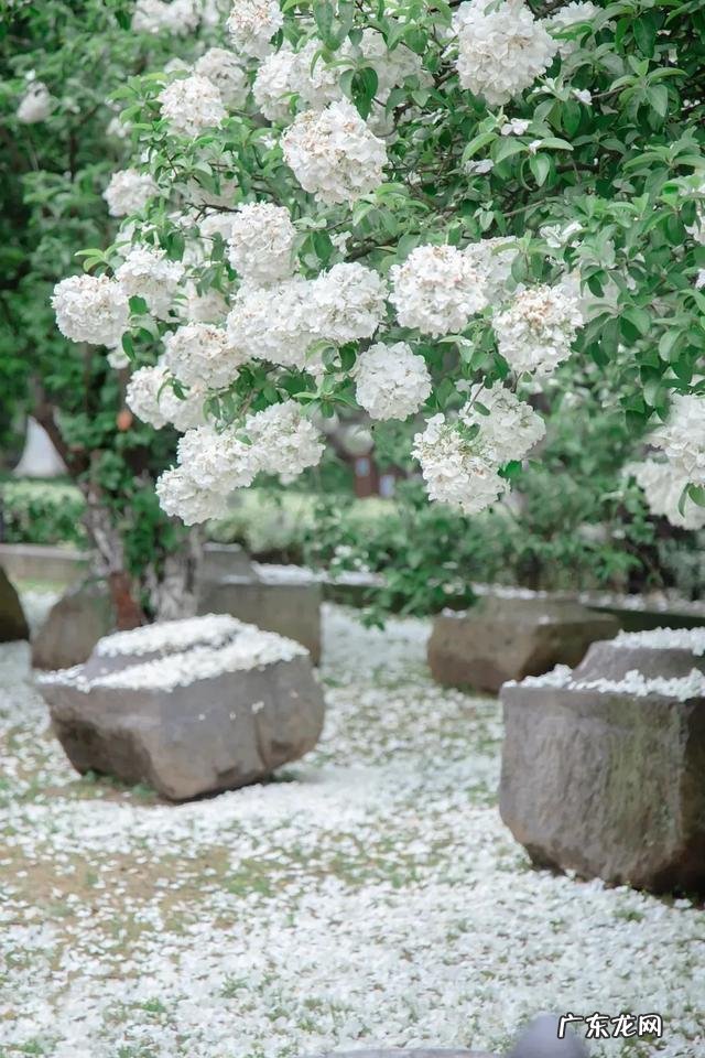 疫情结束，你外出的diyi顿想吃啥？