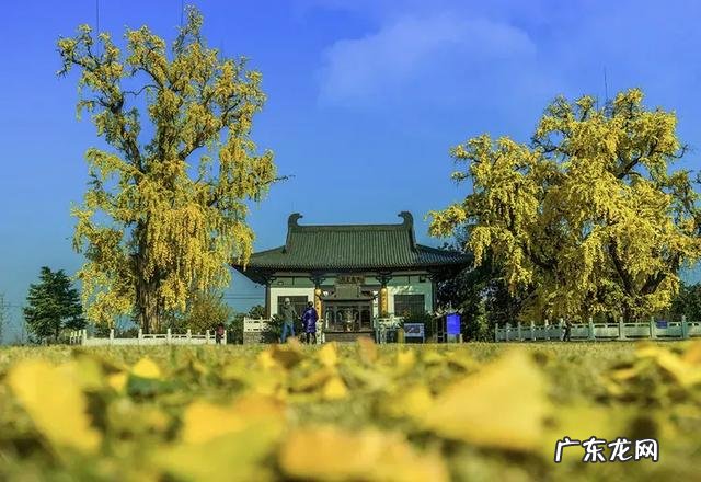 疫情结束，你外出的diyi顿想吃啥？