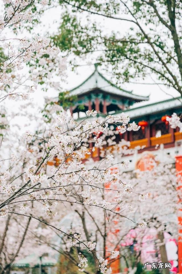 疫情结束，你外出的diyi顿想吃啥？