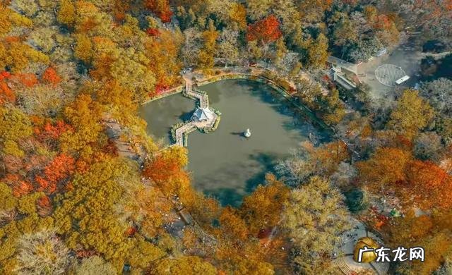 疫情结束，你外出的diyi顿想吃啥？