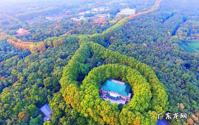 疫情结束，你外出的diyi顿想吃啥？