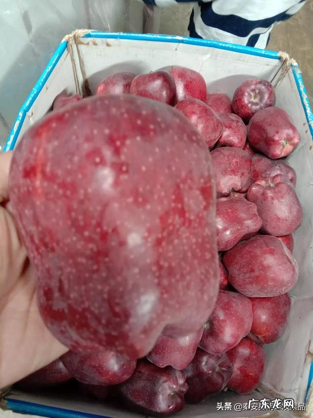 农村电商从零开始做什么 农村电商如何发展,普通人从哪里入手?