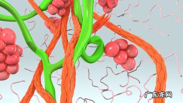 十大抗衰老抗氧食物有用吗