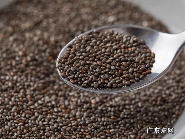 加了奇亚籽的澳洲燕麦片,营养翻倍,好吃不胖!