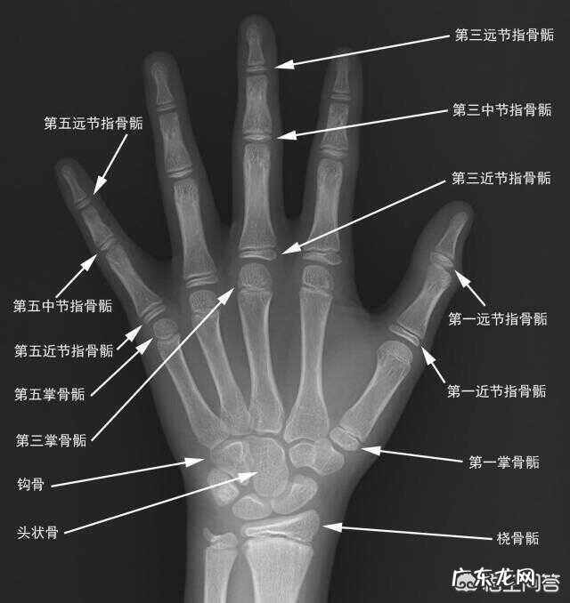 刚满七岁的孩子身高140，爱吃肉，担心是不是性早熟
