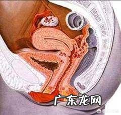 刚满七岁的孩子身高140，爱吃肉，担心是不是性早熟