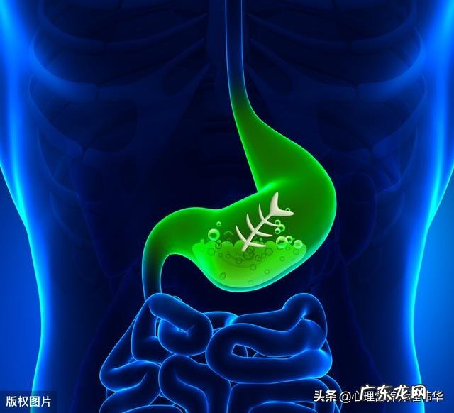 哪些食物是胃的‘死对头’?