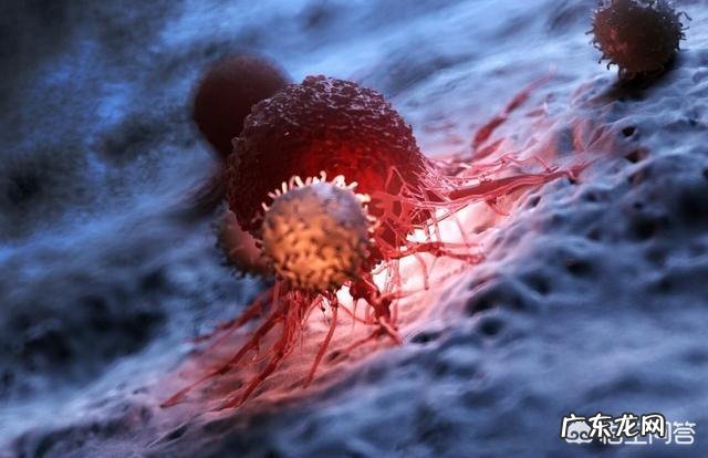 吃了10多年外卖,有可能会得癌症吗?