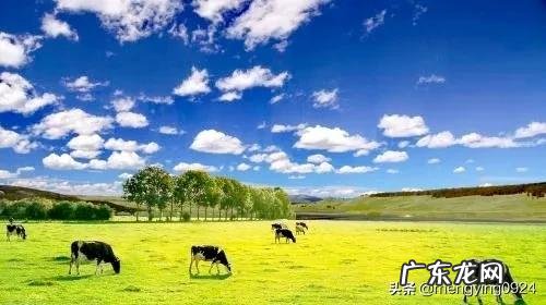 女生身高一米五是一种怎样的体验