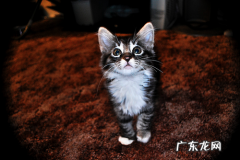 求推荐靠谱红心火龙果[嘻嘻]？