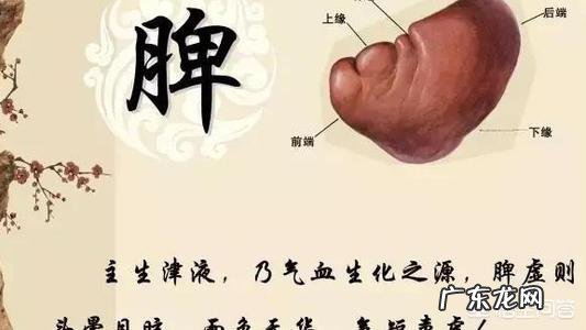 总说食补,到底常吃什么能补