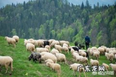 炒菜时先把盐放油里炒再放菜，健康吗