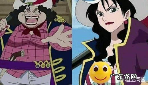 《海贼王》里，女生最喜欢的恶魔果实有哪些