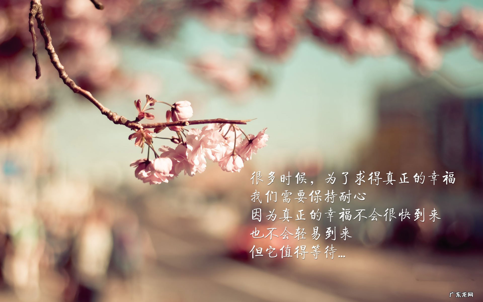 女士上衣的尺码一般是怎么算的？