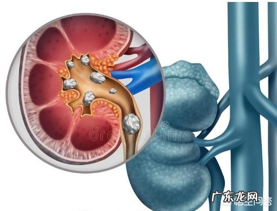 长期低碳水高蛋白的饮食对人体有什么危害?