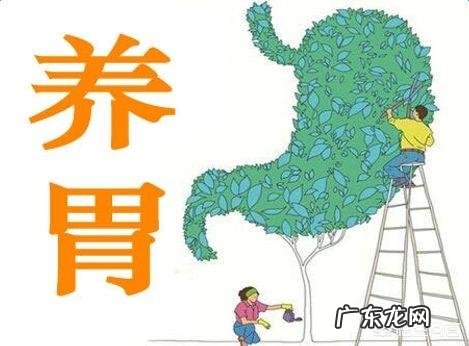 肠胃不好的瘦子如何在一个月里快速增肥?