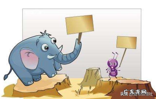 有人说蚂蚁比大象力气大,为什么