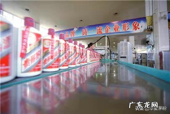 茅台1+3+N有哪儿些?