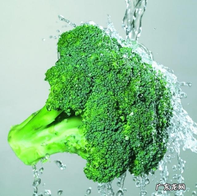 为什么减肥大都要吃那些很“奇怪”的食谱?