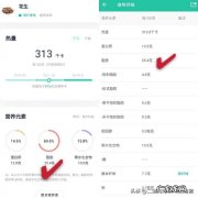 减肥好难，吃了花生之后又反弹了是什么原因？