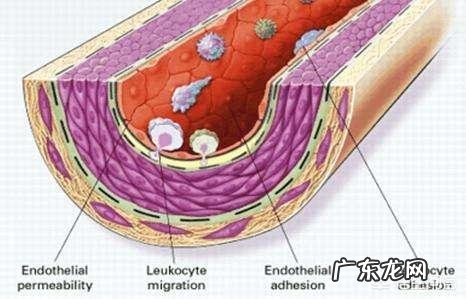 内容来自:高血脂怎么样降下来? 血脂高怎么缓解?日常生活中要如何降低血脂?