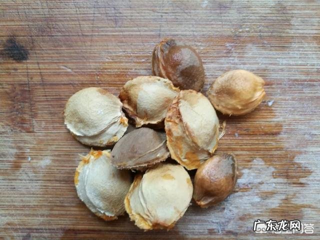 能否说出一个玩具证明你已经老了?