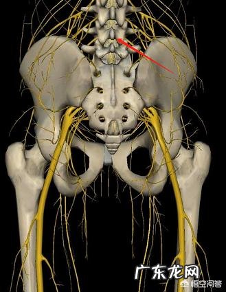 能否说出一个玩具证明你已经老了?