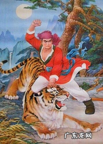 张伟丽能打得过2米高,半吨重的老虎吗
