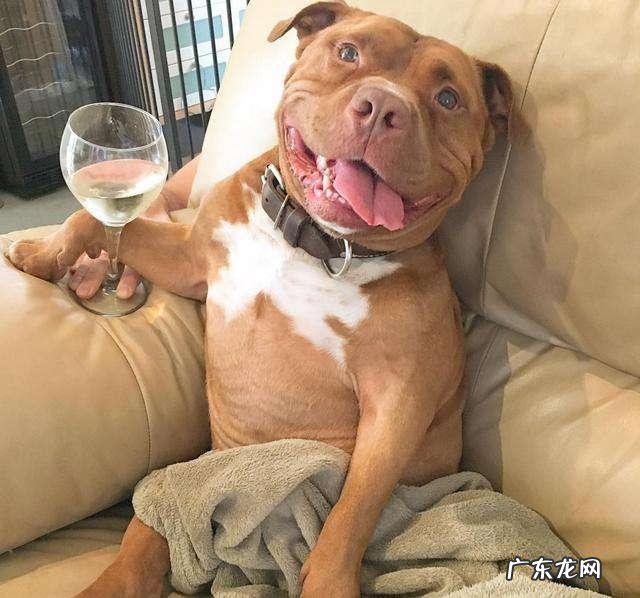 海洋哺乳动物体温比海水高还是低