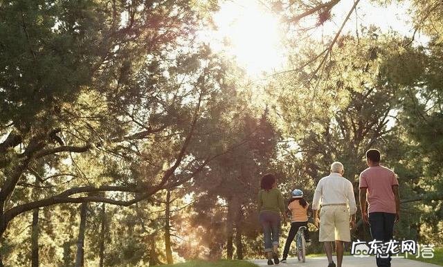 与婆婆一起居住，婆婆的什么行为会让你无法接受？