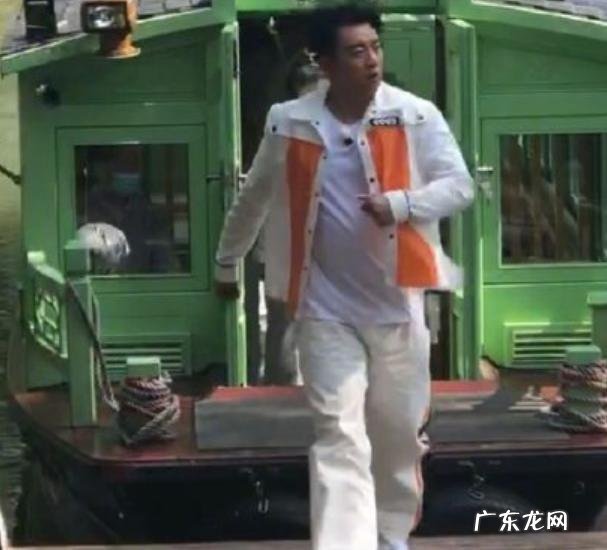 为什么说郑恺还没承认苗苗怀孕,自己却发福长胖了?