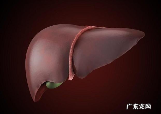 晨起最毁肝的坏习惯是什么?