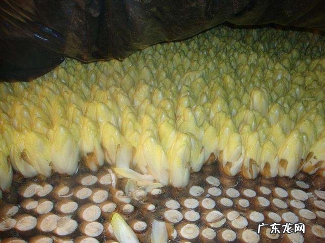 晨起最毁肝的坏习惯是什么?