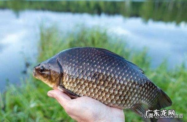 鲫鱼白萝卜鸡蛋汤 鲫鱼白萝卜汤是加冷水还是加热开水?