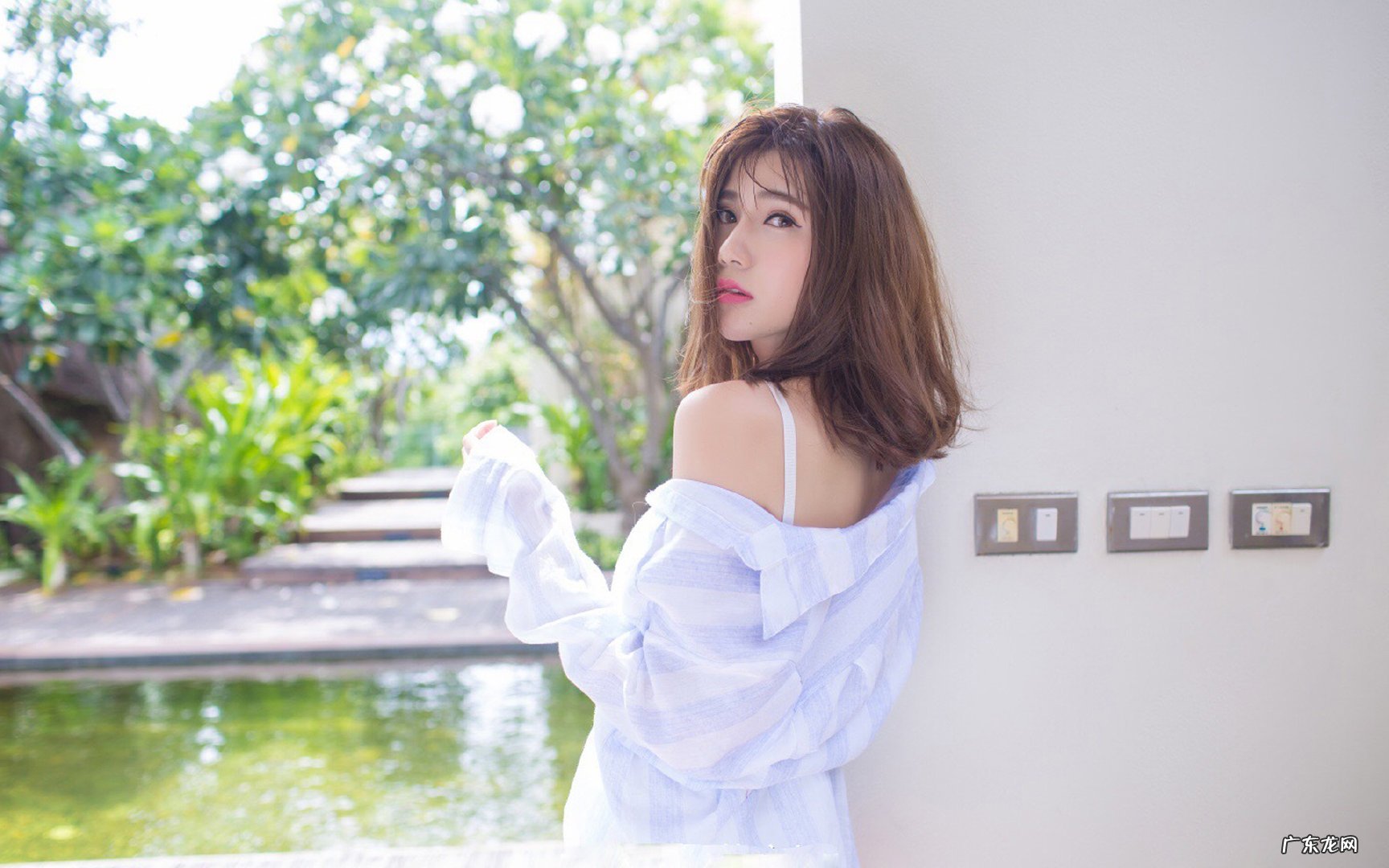 九阳电压力锅能蒸芋头吗?